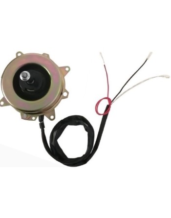 Motor Condensador CW 73W-220V-4 Polos